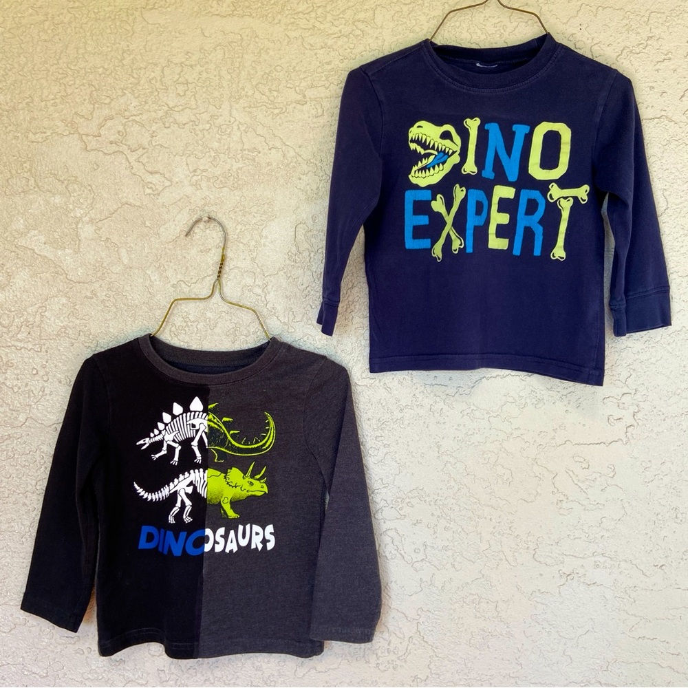 Garanimals 4T Dinosaur-Themed  Long Sleeve Boys T- Shirts - Set of 2